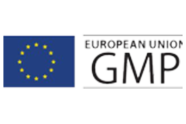European Union - GMP Logo